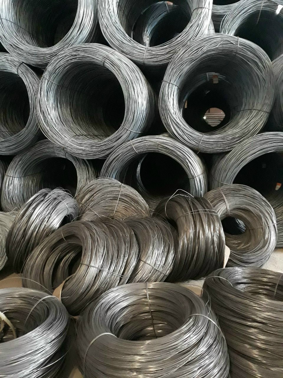 z4854100600537_a299f23596e15f53294144c58c84c47e